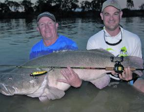 Some thumping big cod were caught in the lead-up to the hot weather. This 125cm model took a trolled Codzilla lure just on dark.