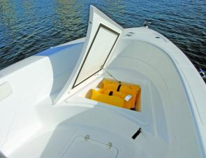 A strut-equipped bow storage compartment will take care of PFDs and the like. 