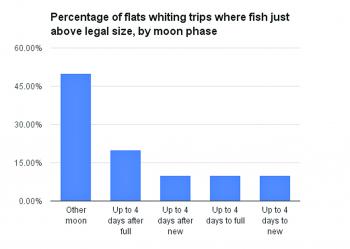 Percentage of flats whiting trips where the fish were just above legal size, by moon phase.