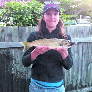 Narrabeen Lake has produced some great whiting, such as this specimen caught by Clare Tilley.