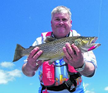 A 2015 release brown from Elingamite taken on a Damiki Saemi minnow in red.