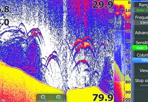 Using a Lowrance sounder to locate deep bass at Glenbawn amongst timber.