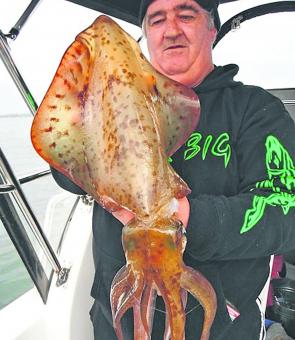 Calamari like this beast have been in great numbers around Tankerton.