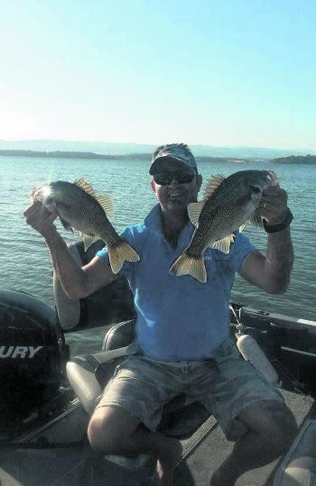 Mark Ramsey caught these beautiful big bass in lake Glenmaggie.