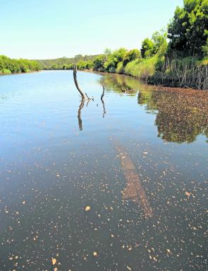 Submerged logs in a river are also a likely location to find fish.