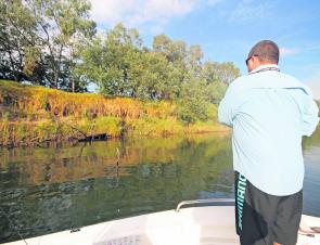 When on the search for perch, always work the bank edges.