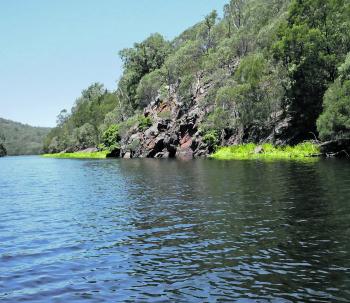 The rock walls at the back of dam hold big fish.