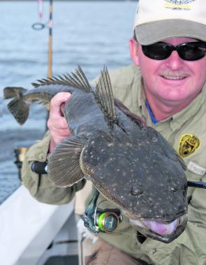 The flathead will get moving now the water is starting to warm and the prawns are moving.