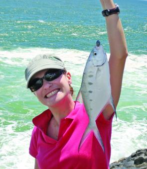 Susanna Jemma caught this dart off the rocks at the Noosa National Park using squid for bait.
