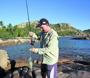 Squid are a top land based option in August around Bowen’s coral filled bays.