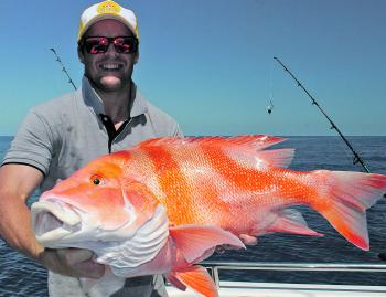 Dan Zealand got this solid red emperor past the sharks.