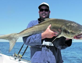 Dave Lee holding a hard fighting cobia – keep an eye out this month for a few lurking about.