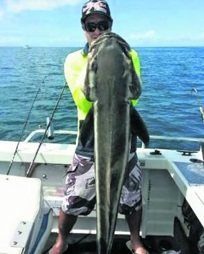 A 1.4m cobia taken by Trevor Wells from the shipping channel, which is only a 30 minute boat cruise from Bribie.