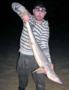 Mark Smith caught the 1.3m gummy shark at Seaspray using squid.