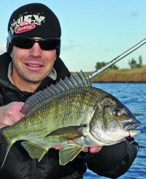 Small metal blades will be the best bet for lure anglers over the coming months as the resident bream begin to school in the deeper sections of our local estuaries. 