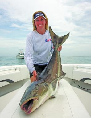 Cobia are very adaptable to their environment. They have huge mouths and will aggressively follow and strike a lure or bait repeatedly until hooked.