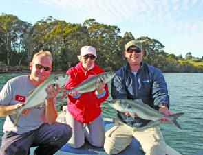 Wagonga Inlet is holding plenty of big salmon and tailor. This was part of the catch for a half-day session.