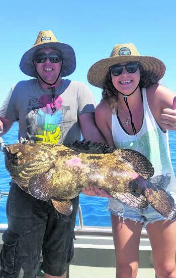 A beautiful flowery cod caught offshore that was hooked by both anglers!