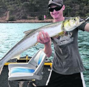 Giant herring are a fast-paced sportfish that are simply fun to catch.