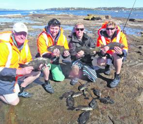 Brian Tapp and son Sean, Jamie Keys and Sam Dillan scored this bag of groper, pigs and a silver drummer in challenging conditions. But the author says it was safer than being on the roads!