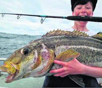 No need to eat the rod anymore, a trophy striped trumpeter will fill the fridge.