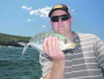 Trevally can be caught by letting your lure fall through the surface feeding schools.