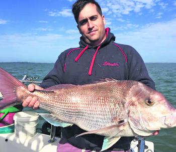 Dan Borin with a magnificent snapper caught while fishing the Corinella area with Shaun Furtiere from Think Big Charters.