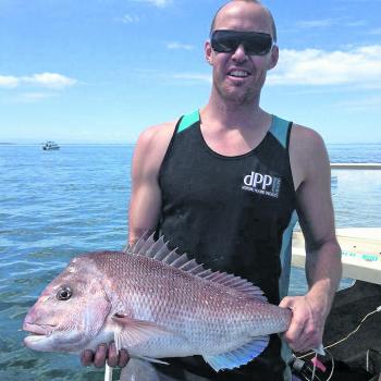 Snapper guru Matt Witherden with a typical Port Phillip Bay red caught off Carrum on a pilchard.