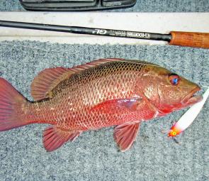 Lure anglers should change to hard body lures for big jacks, which seem to feed higher in the water when it warms up.
