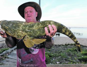 You don’t need a boat to catch quality flathead in Port Stephens.