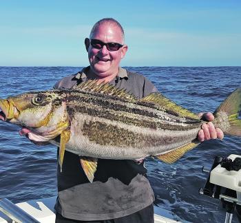 If the weather permits you to get out the front, you can chase striped trumpeter in water a little shallower than most believe. 