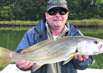 There’s still plenty of smaller mulloway in the system, and June may see some much bigger fish enter the estuary.