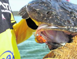 Solmon Island lures - LURELOVERS Australian Fishing Lure Community