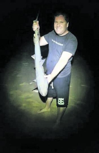 Shane Wedrowicz caught this nice gummy shark at Golden Beach on a squid bait.
