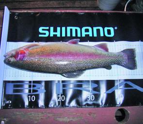 The proof is on the brag mat! Over 47cm of rainbow trout from Lilydale Lake.