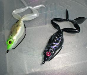The new Jackall Mask Frogs are just the right size for the dams and rivers and have a good hook-up rate for a soft frog.