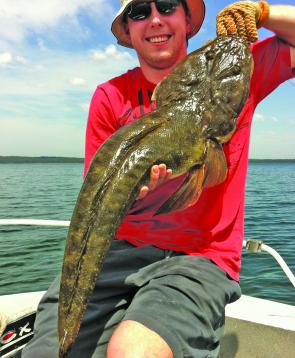 Aiden McCracken caught and released this magnificent dusky flathead on 3lb braid with 4lb FC Rock leader. Spring and early Summer have produced dozens of big duskies this season. Don't be a knucklehead, put the big ones back!