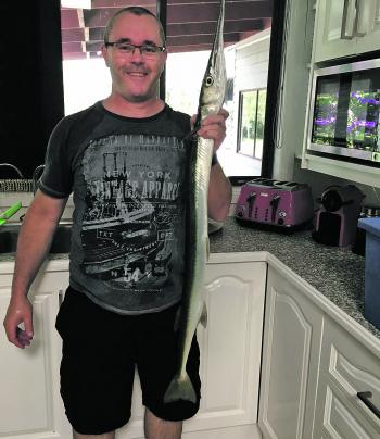 Peter Glanville caught this whopper longtom on a recent Lake Mac fishing trip.