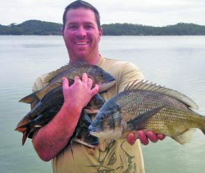 A big arm load of bream just prior to release.