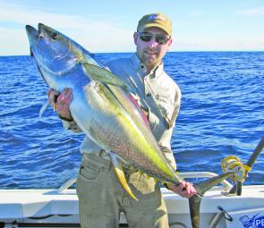 October is a good month to start looking for yellowfin tuna.