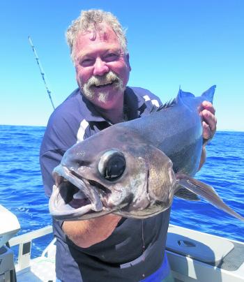 This trevalla looks like one intimidating slopper – any angler would be happy to best this beast.