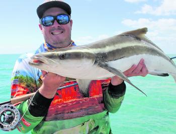 Cobia are tough opponents on fly, and this one came from a bait ball.