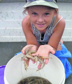 Emily Thompson helping her dad get amongst the Pine River prawns.