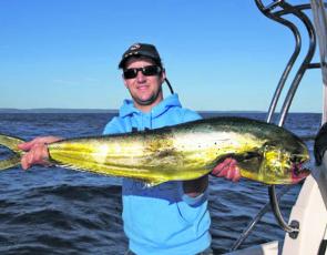 This is a typical-sized mahi mahi that you will encounter at the moment.