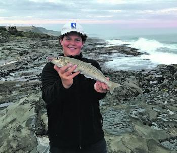 A wonderful whiting caught from Skenes Creek.