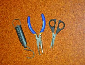 Braid cutters, split-ring pliers and a few sets of scales make up a basic tool kit for an angler. 