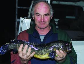 A 1.6kg blackfish caught by Gordon Thompson from the Gellibrand River.