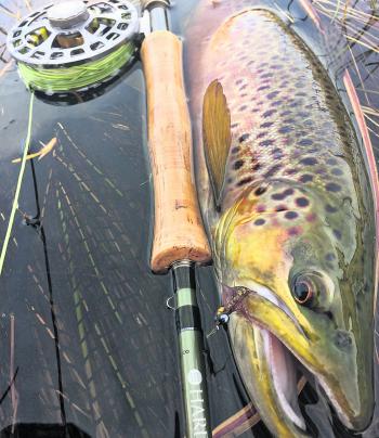 Opening weekend saw a good number of anglers battle the elements for a trophy trout.