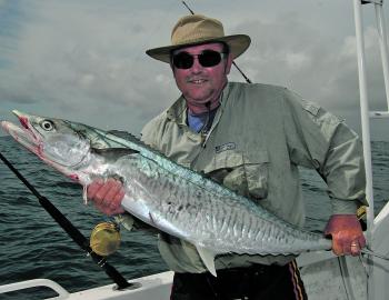 Another solid narrow barred mackerel that fell to the mackerel master Wardy on a live slimy mackerel.