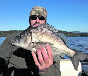 Ante with a 36cm black bream caught on a Hurricane blade.